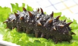 烟台海参爆料视频播放下载,视频播放下载背后的真相揭秘